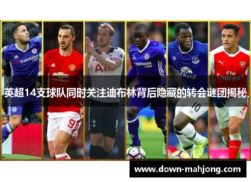 英超14支球队同时关注迪布林背后隐藏的转会谜团揭秘